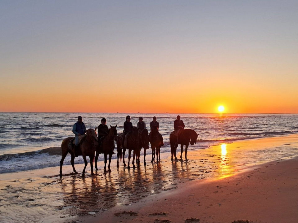 Miniatura: 🌞🏖️ 4 DIAS EN MATALASCAÑAS · RULETA: FLAMERO / DUNAS DE DOÑANA 3★
