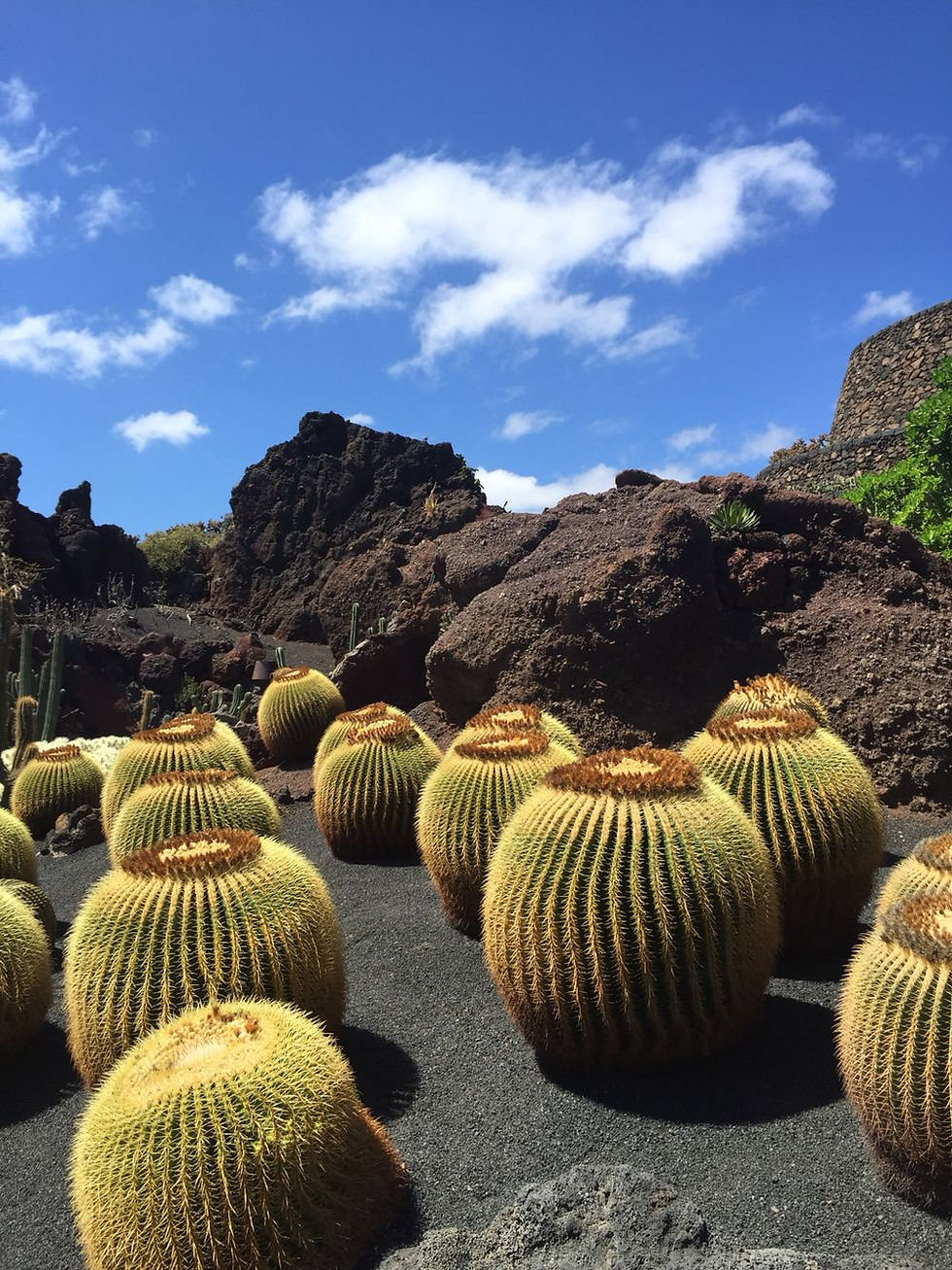 Miniatura: ☀️🌴 LANZAROTE EN JULIO DESDE SOLO 299€ POR PERSONA ✈️🏖️