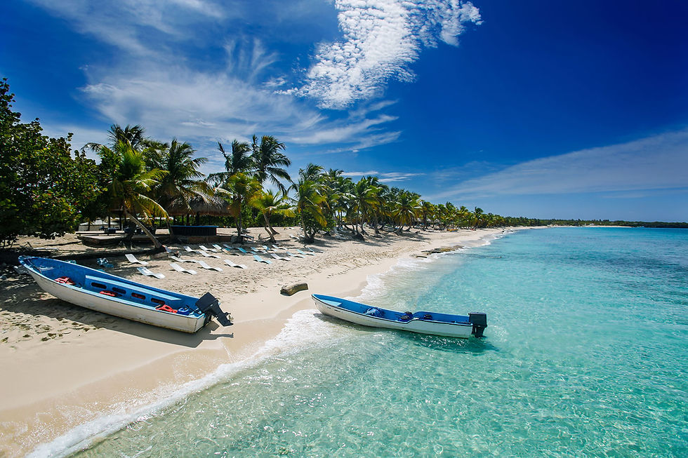 Miniatura: 🚢🌴 CRUCERO MSC OPERA POR EL CARIBE EN DICIEMBRE DESDE 1.446€ POR PERSONA 🌴🚢