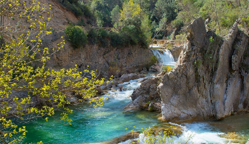 Miniatura: 🌲🍂 PUENTE DE TODOS LOS SANTOS EN LA SIERRA DE CAZORLA DESDE 375€ 🍂🌲