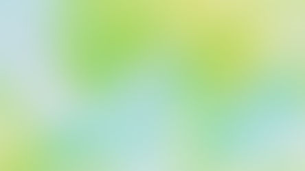 Delhi HC stays rule to prevent indiscriminate tree pruning