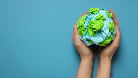 Norms set aside, Delhi HC acts tough on pruning