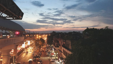 No pruning of trees will be permitted in Delhi: HC