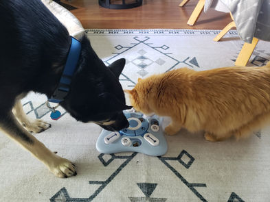 2023-06-09 08.44.48.jpg