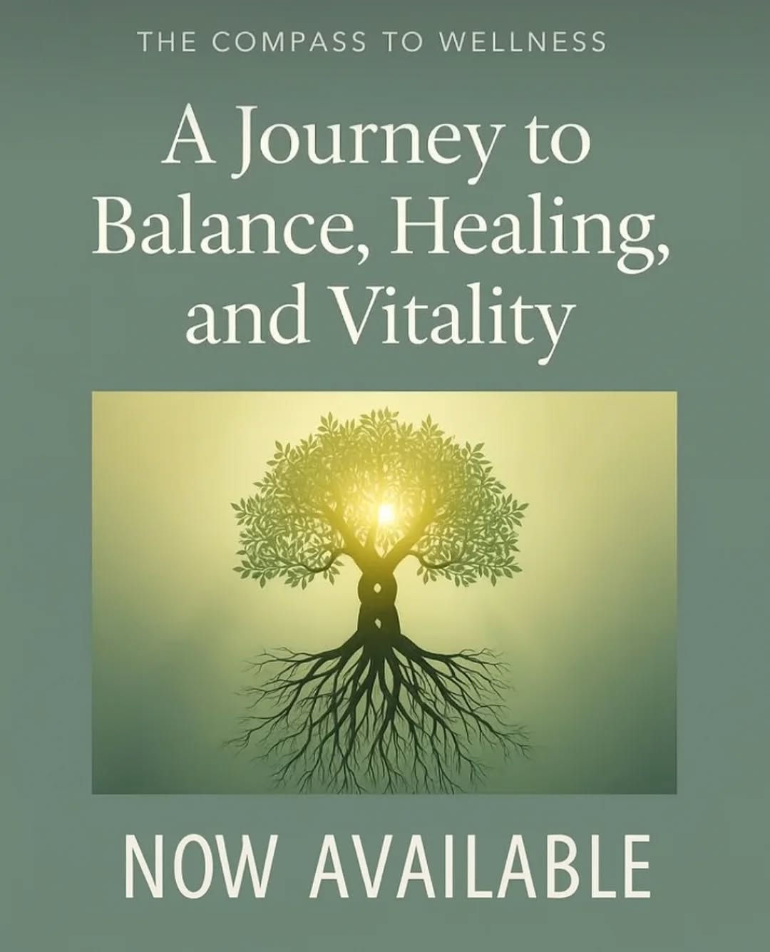 A Journey to Balance e-book