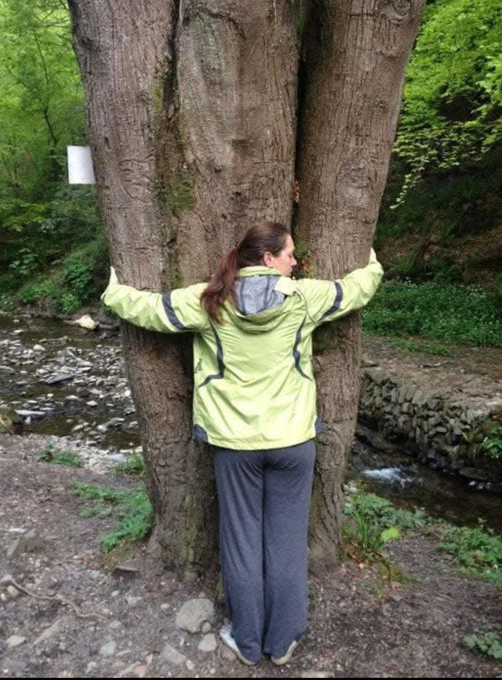 What is Wellness Coaching - And Why Your Body, Mind & Spirit Are Asking for it