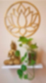 Decoração da sala de atendimento, com buda e planta, demonstrando a a alta vibração do ambiente.