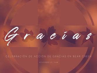 Celebración de Acción de Gracias