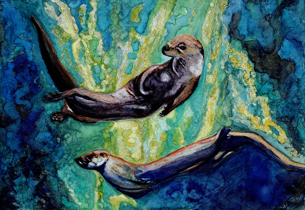 North American River Otters