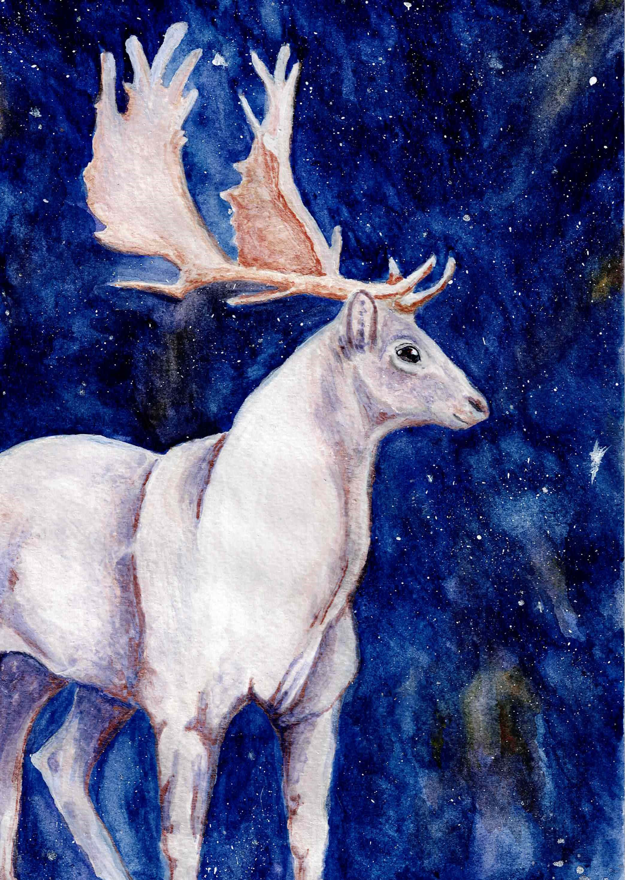 Solstice Stag