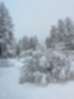 Winterlandschaft