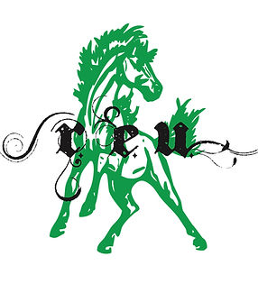 REU_Mustang_Logo_GrnBlk.jpg