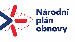 Logo- NPO_edited_edited.png