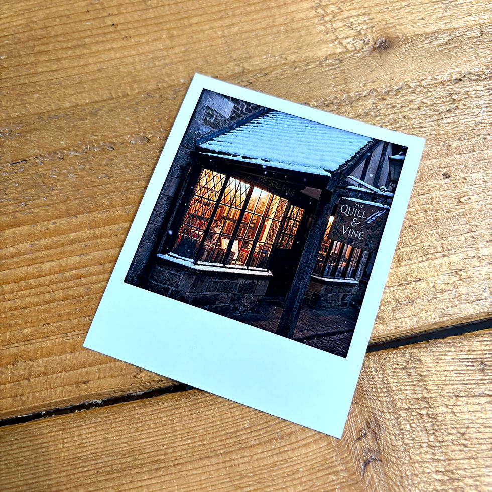 Thumbnail: Bookish Polaroid set