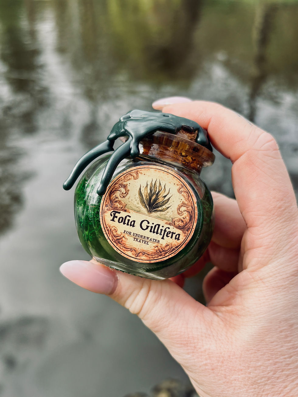 Thumbnail: Folia Gillifera