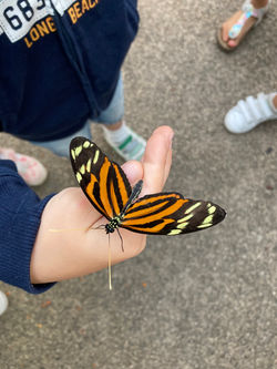 image00010