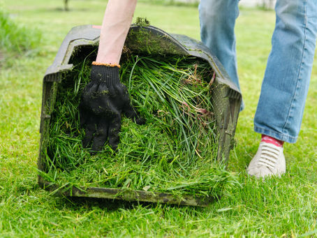 What Should I Do with Grass Clippings? Best Practices for Lawn Maintenance
