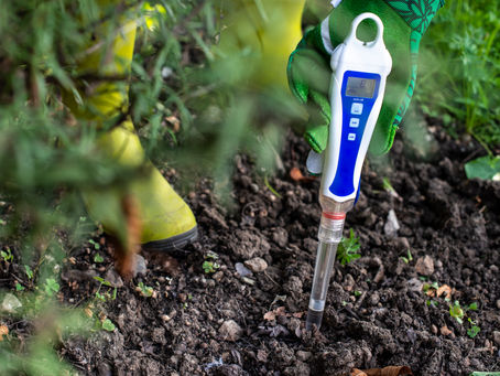 The Importance of pH Balance in Your Indiana Lawn: How to Test and Adjust Soil pH