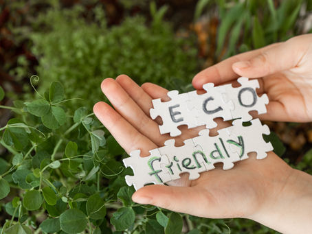 The Benefits of Organic Lawn Care: Eco-Friendly Solutions for a Greener Yard