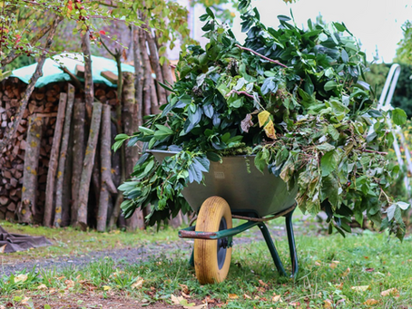 Why Spring Clean-Ups Matter