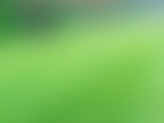 When to Start Mowing Your Grass: Indiana