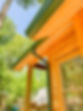 green gutters installed by Express Gutters