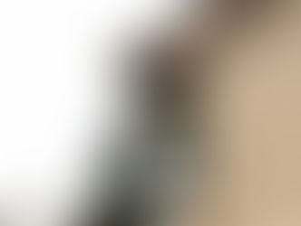 gutters being replaced by Express Gutters