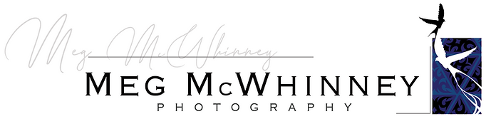 Logo Screenshot.png