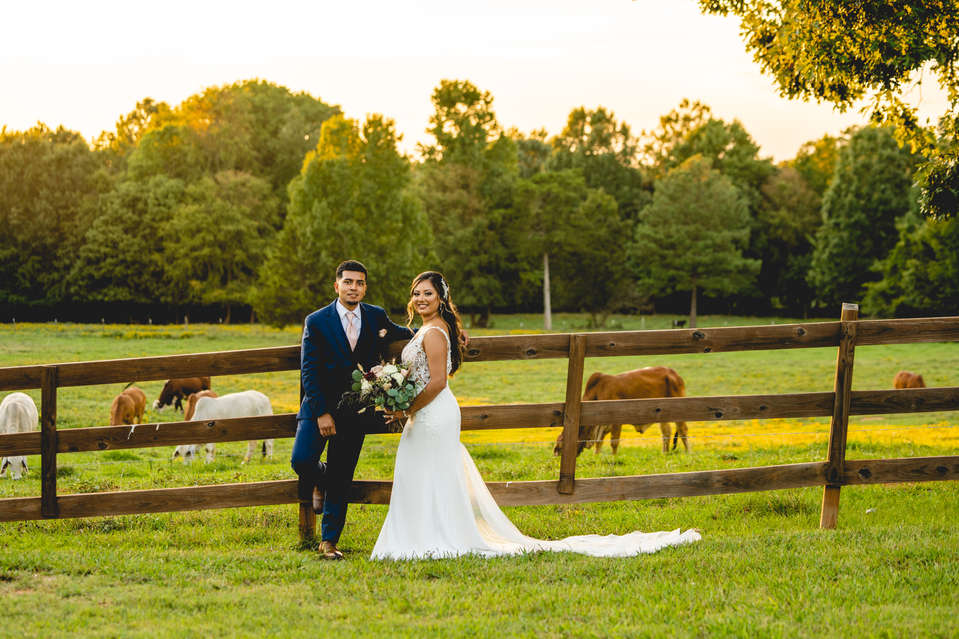 Picture-480 copy.jpg