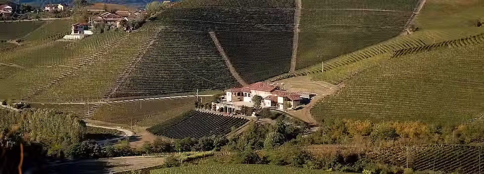 Selvapiana.jpg