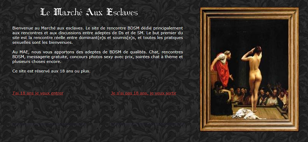 Site pour rencontrer celle, celui, que vous recherchez.