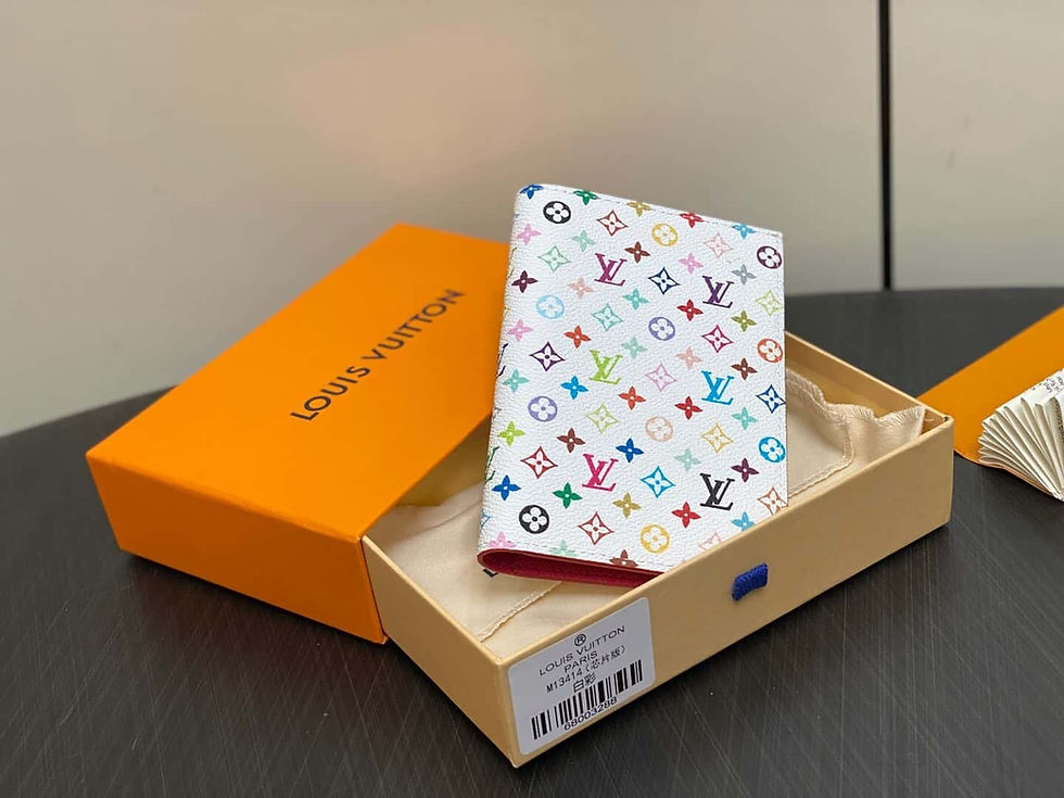 Louis Vuitton Passport Cover – White Multi-Color Travel Case