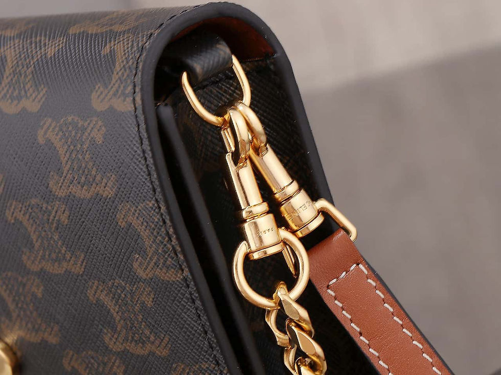 Thumbnail: Multi Pochette TRIOMPHE Canvas Bag – CL187