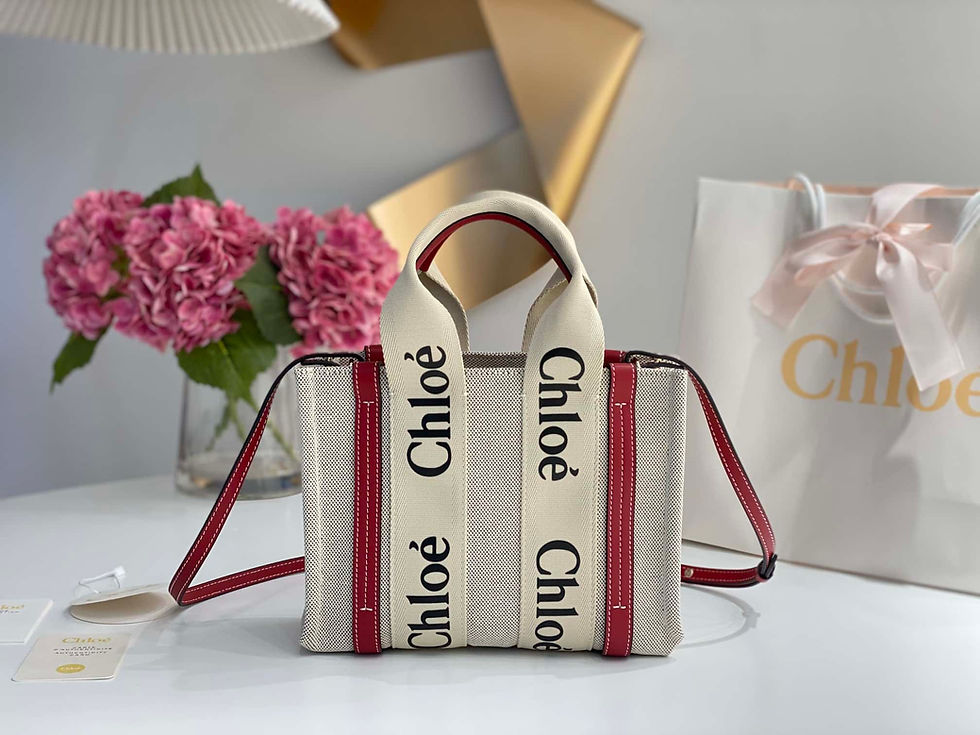 Designer Bag CL - 7217