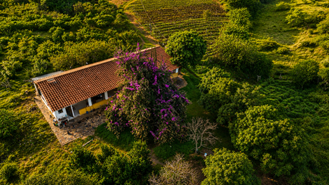 Encuentra los mejores lotes disponibles en Samaipata