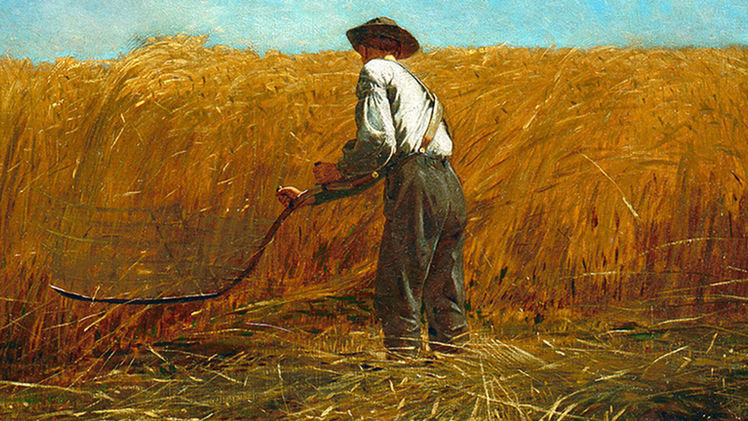 Pragmatic Principles for Productivity