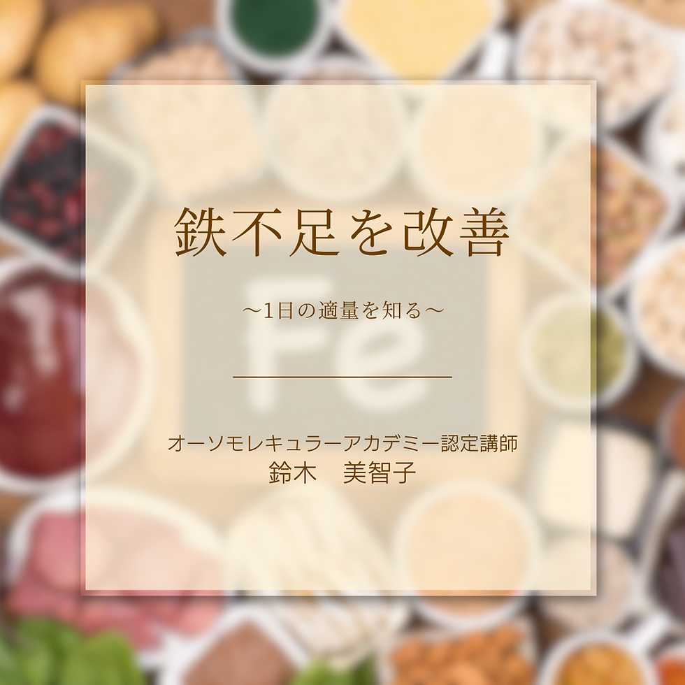 鉄不足を改善～1日の適量を知る～