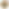 TRANSPARENT.png