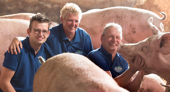 mpv-BeemsterV007arkens- (1).png