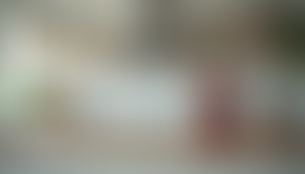 Top Kitchen Appliances for Every Home