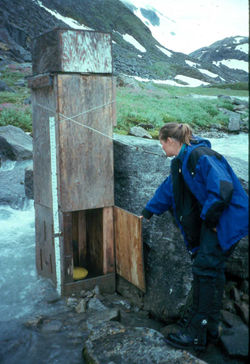 Kerri at C-17A streamgage