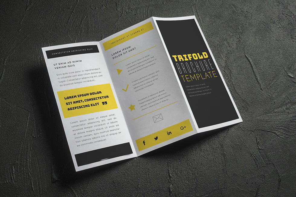Trifold Template