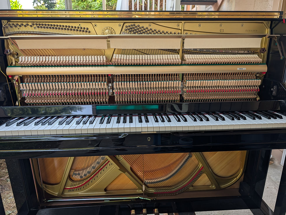 Thumbnail: Yamaha U1 Upright Piano – 2000 Model (Puget Sound Local, Lightly Played)