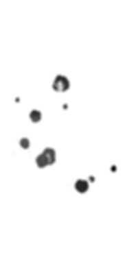 splash (4).png