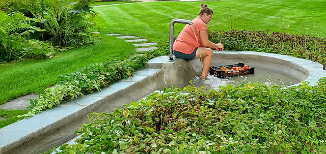 Washing tomatoes IN a spring!