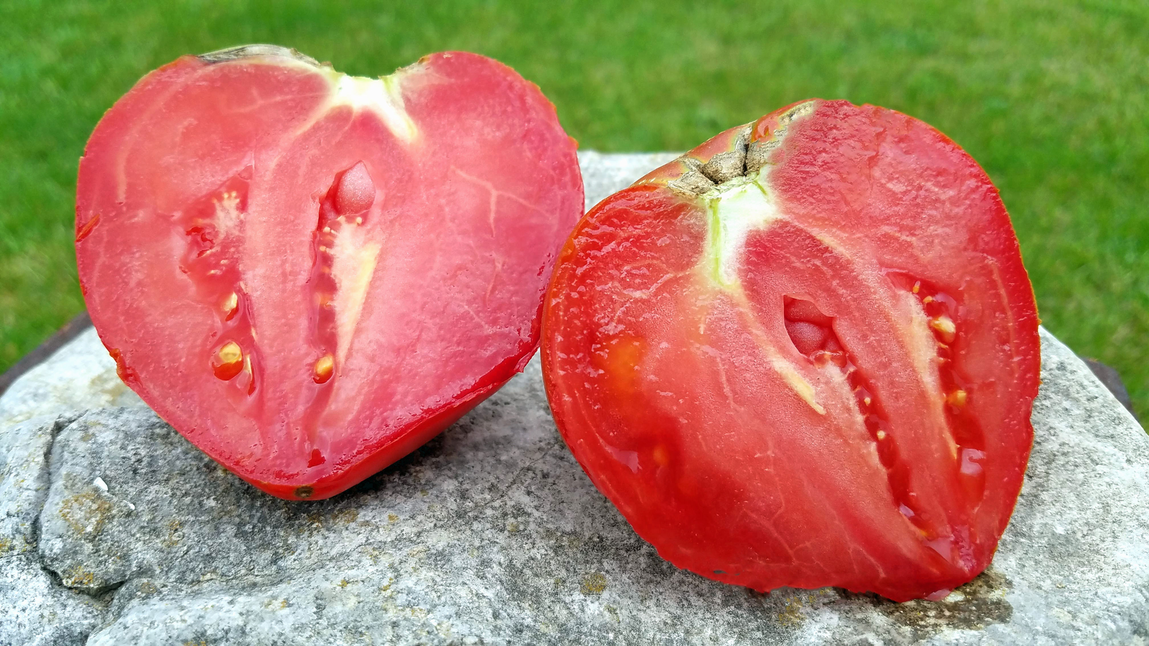 Mayo's Delight tomato