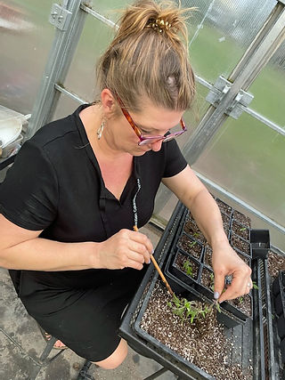 Donna P. working away
