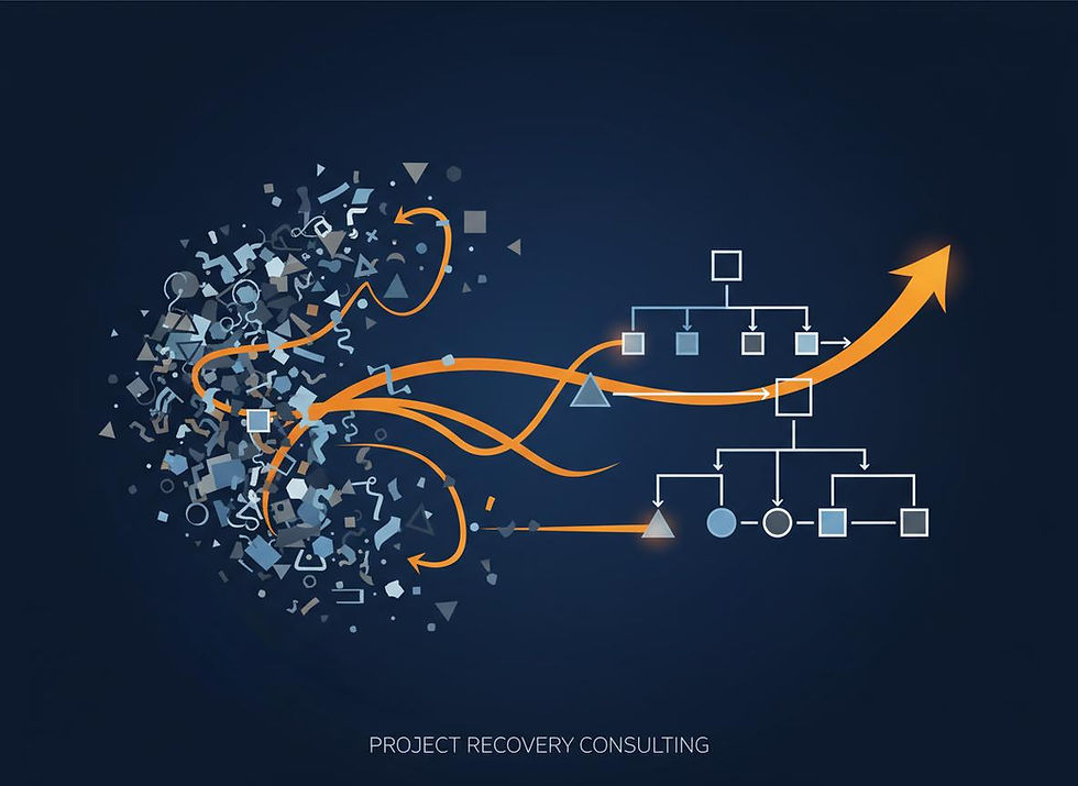 recovery projects and making complexity manageable 