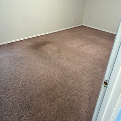 after carpet cleaning