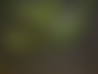 Bearing Fruit That Will Last